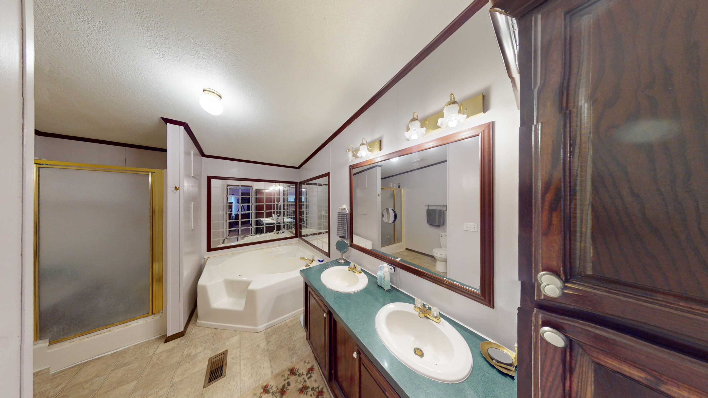 929 Payne Lane Spring City, TN 37381 - Photo 12 of 21 11-Master Bathroom