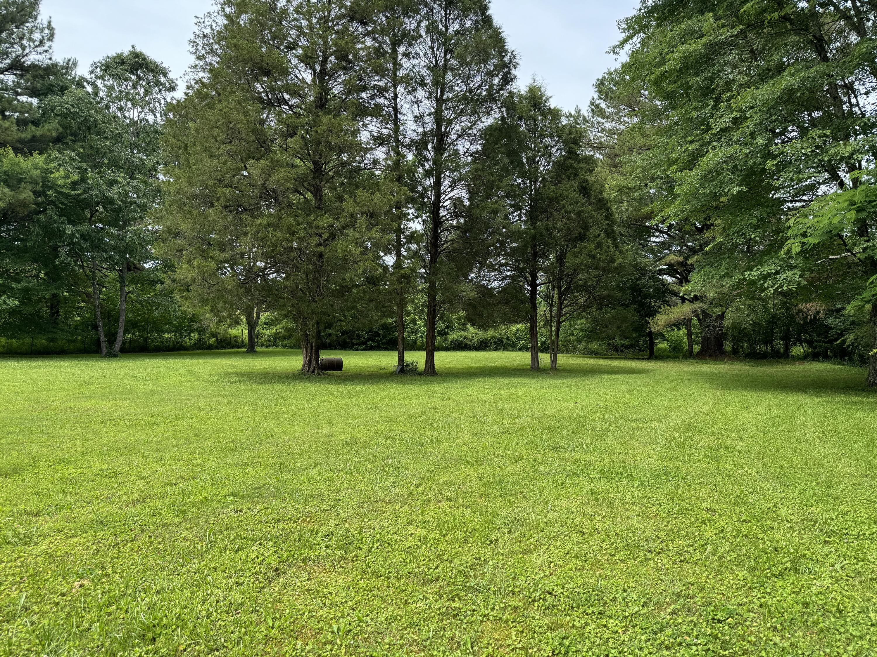 929 Payne Lane Spring City, TN 37381 - Photo 19 of 21 19-Back Yard 1
