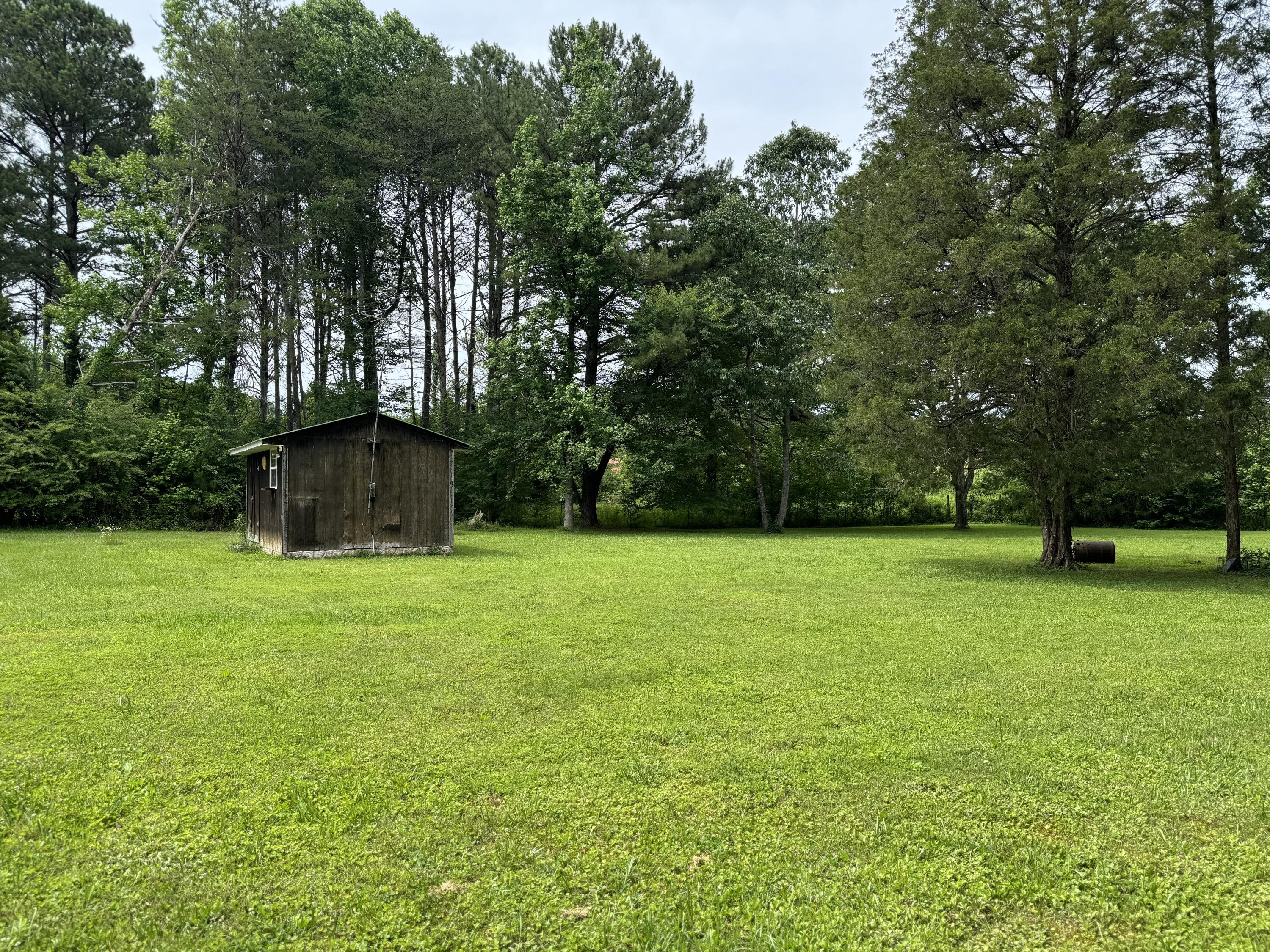 929 Payne Lane Spring City, TN 37381 - Photo 20 of 21 20-Back Yard 1.5
