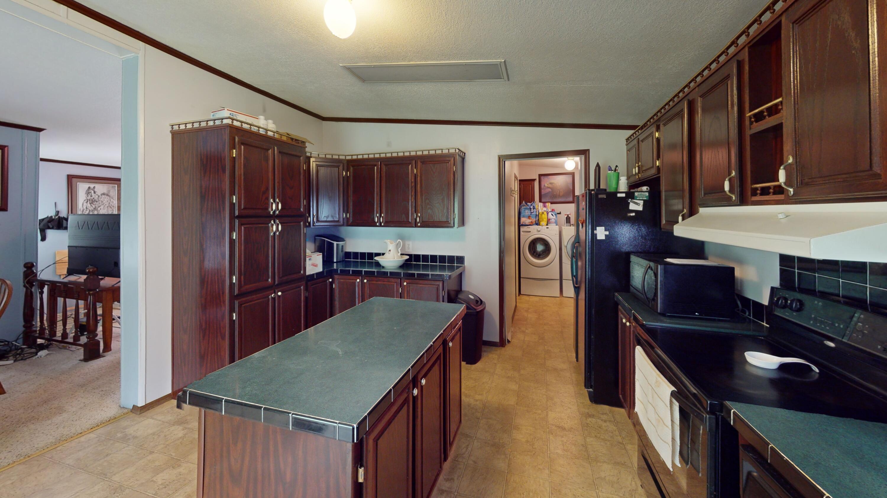 929 Payne Lane Spring City, TN 37381 - Photo 9 of 21 8-Kitchen 1.5