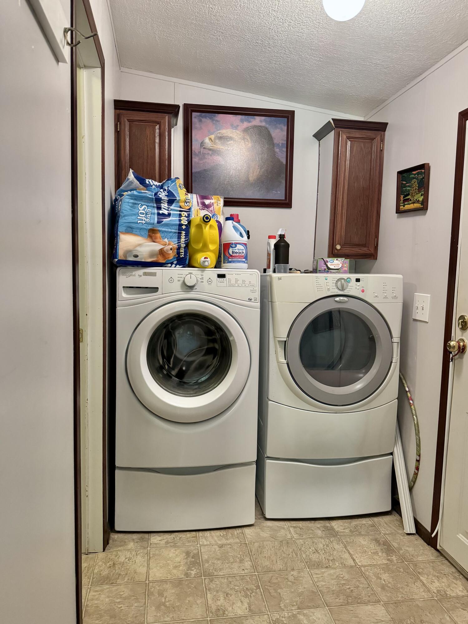 929 Payne Lane Spring City, TN 37381 - Photo 10 of 21 9-Laundry Area