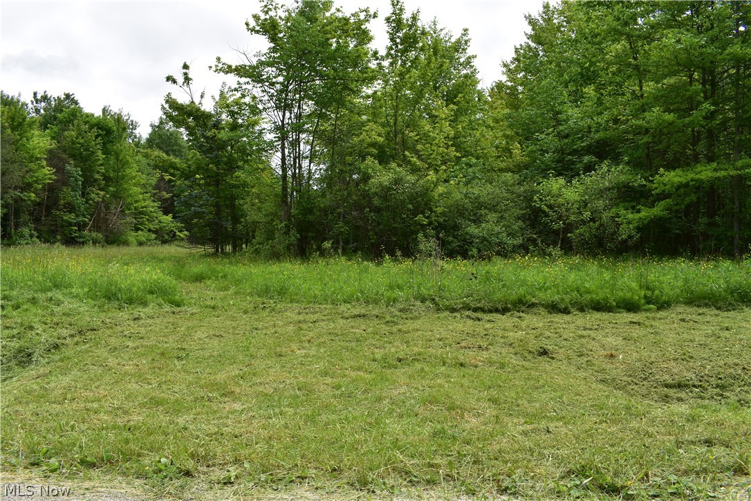 Forman Road Austinburg, OH 44010 - Photo 11 of 21 Gallery Image 11