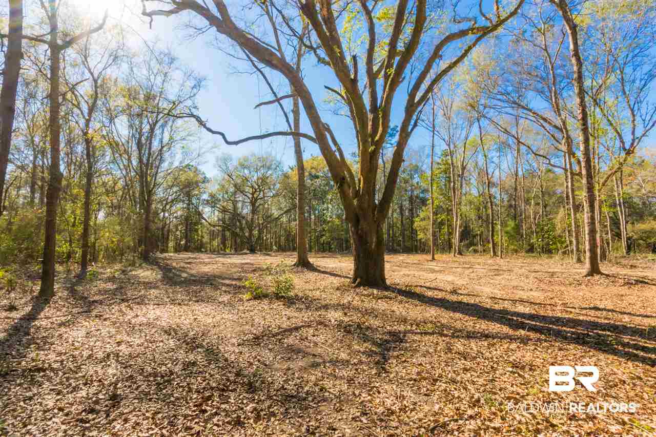 25923 Chene Trace Robertsdale, AL 36567 - Photo 2 of 9