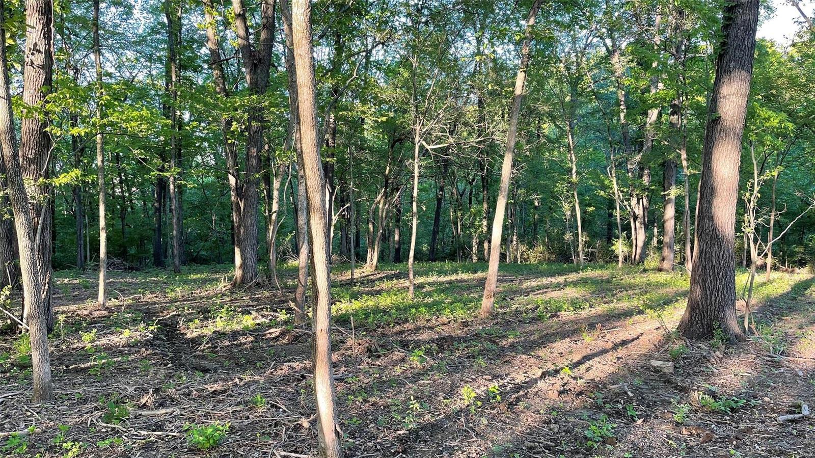 0 Nebo Road Walsh, IL 62297 - Photo 11 of 30