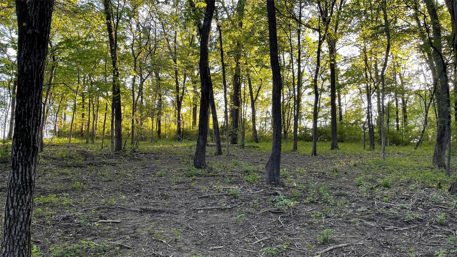 0 Nebo Road Walsh, IL 62297 - Photo 20 of 30