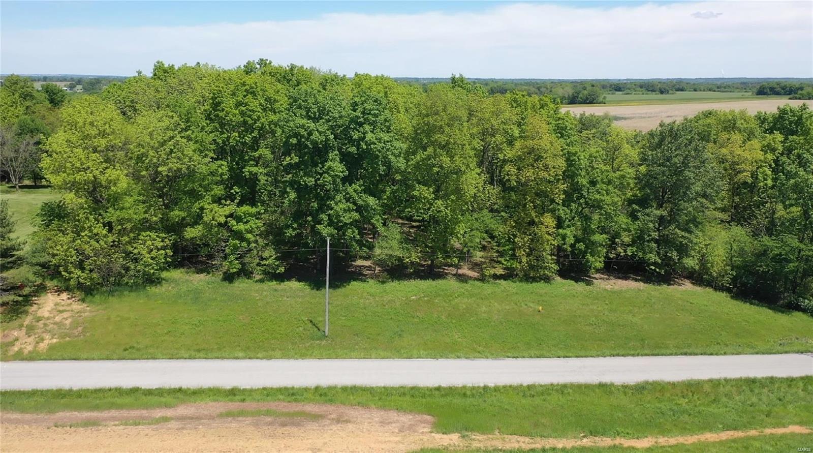 0 Nebo Road Walsh, IL 62297 - Photo 2 of 30