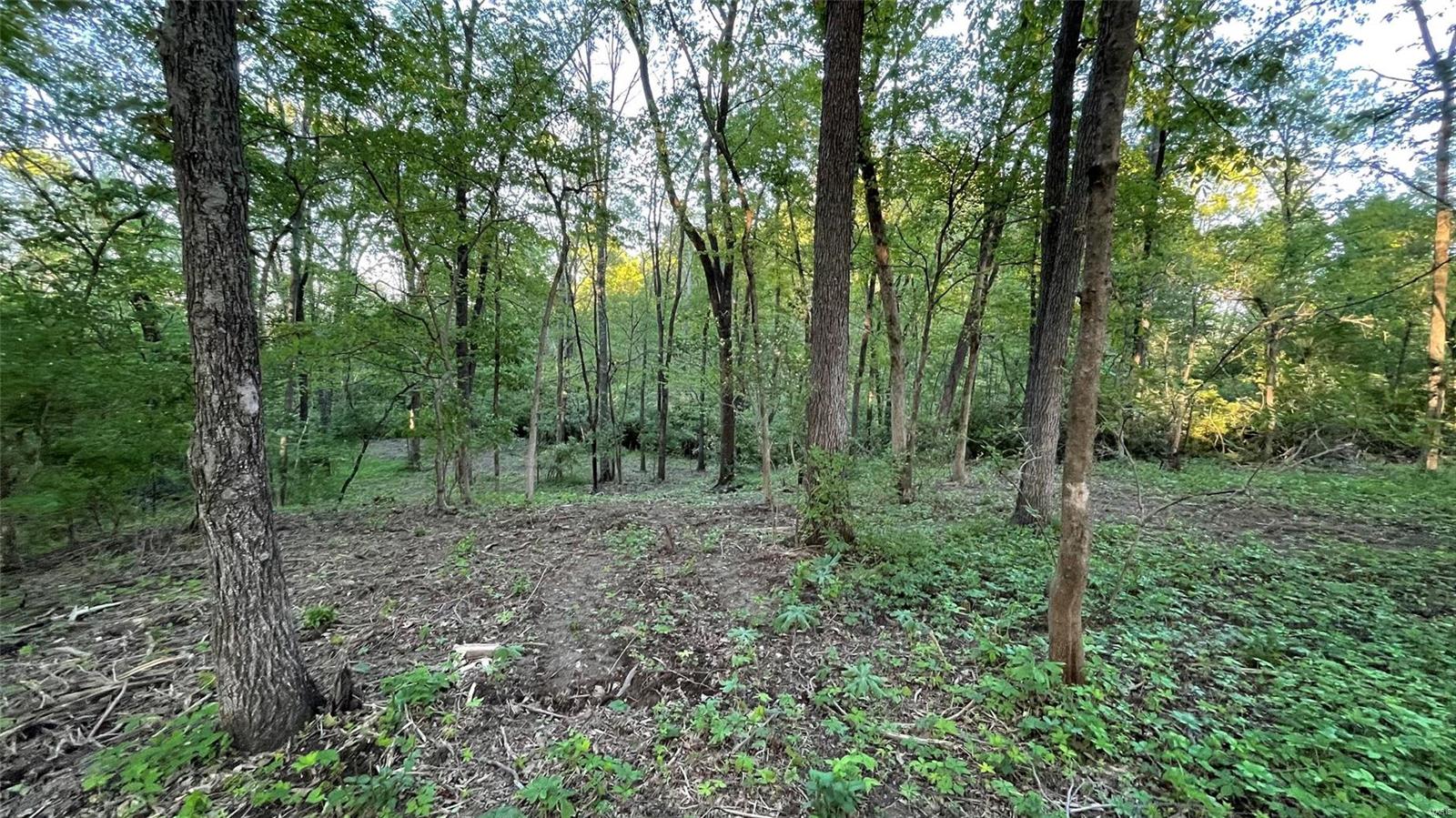 0 Nebo Road Walsh, IL 62297 - Photo 21 of 30