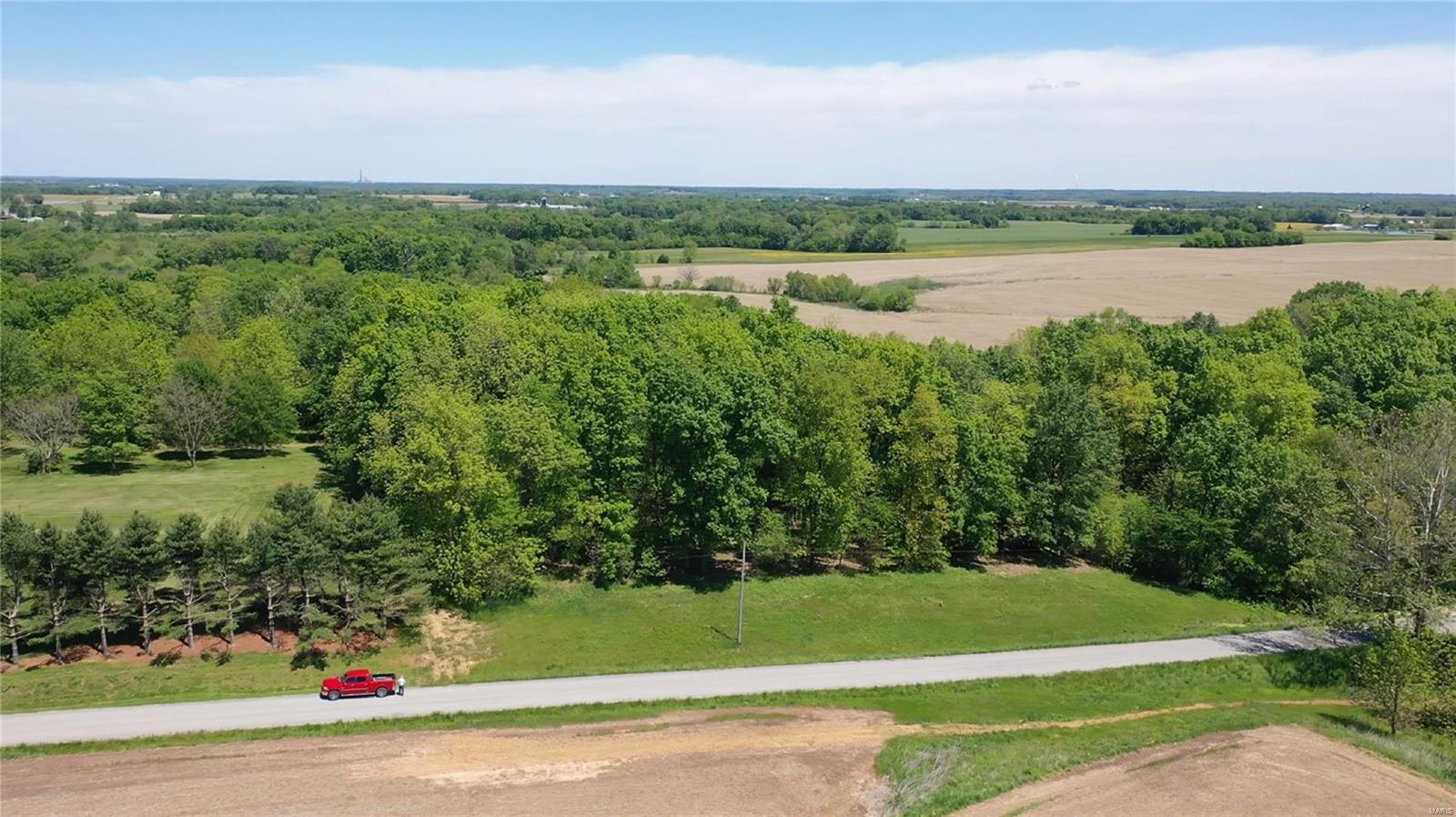 0 Nebo Road Walsh, IL 62297 - Photo 4 of 30