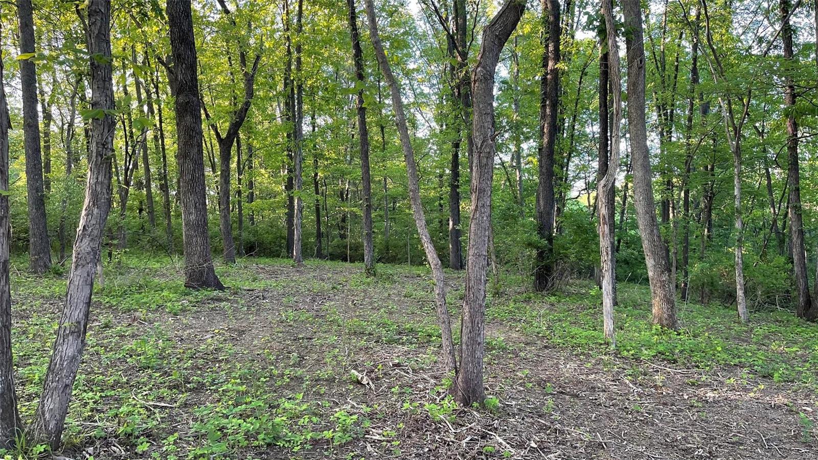 0 Nebo Road Walsh, IL 62297 - Photo 9 of 30