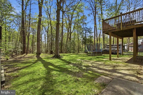 a view of a park with large trees