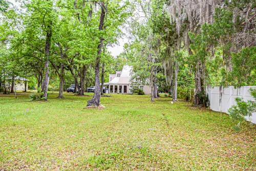 a garden with trees in the background