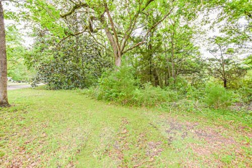 a view of yard with green space