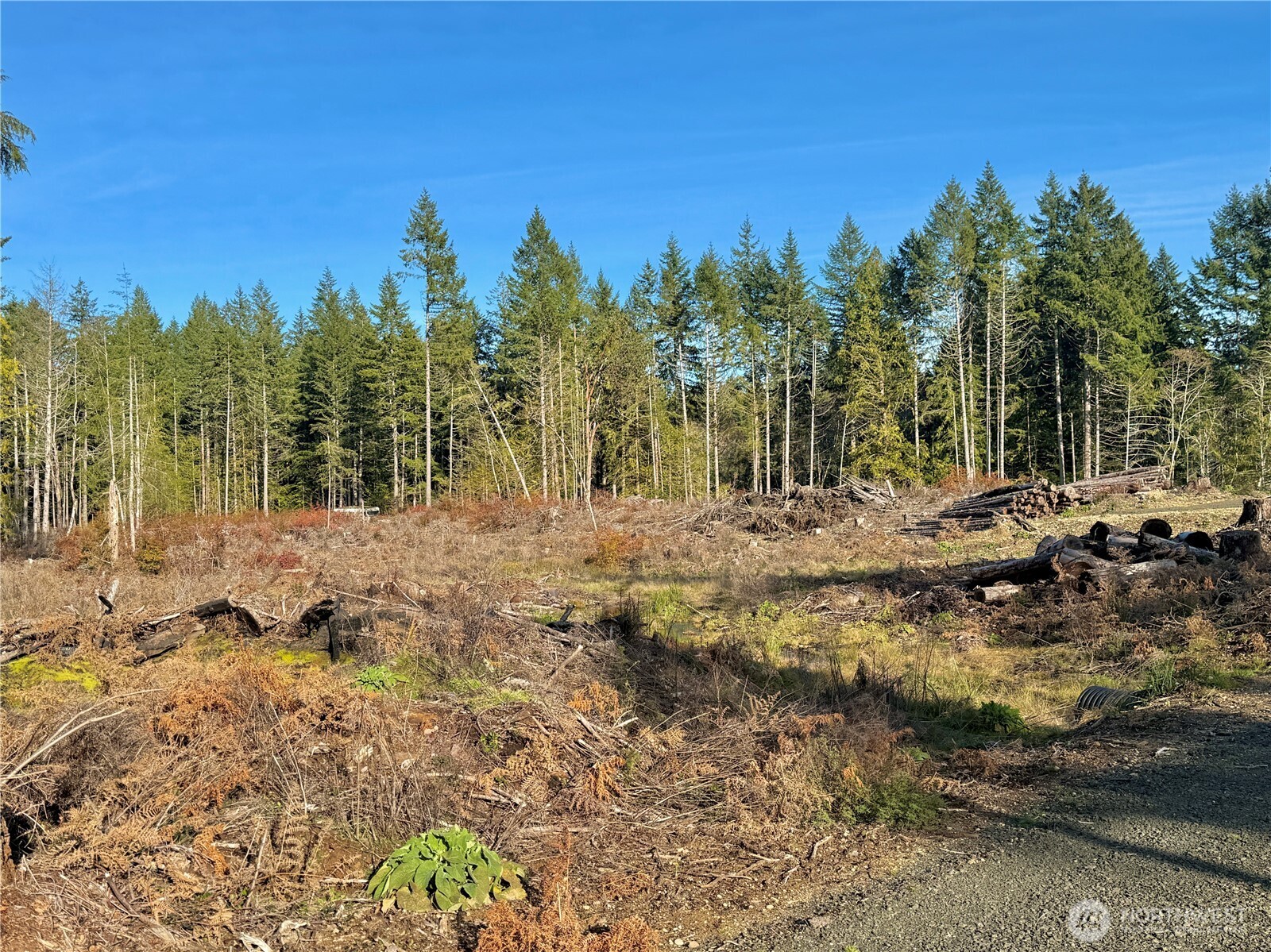 250 East Solbakk Veien Road Shelton, WA 98584 - Photo 13 of 39 a view of outdoor space with trees all around