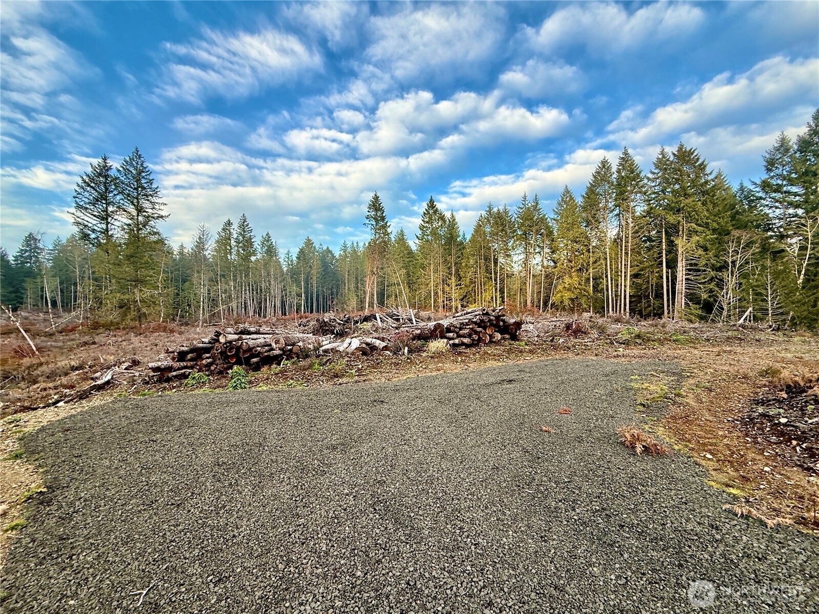 250 East Solbakk Veien Road Shelton, WA 98584 - Photo 17 of 39 a view of a yard with large trees