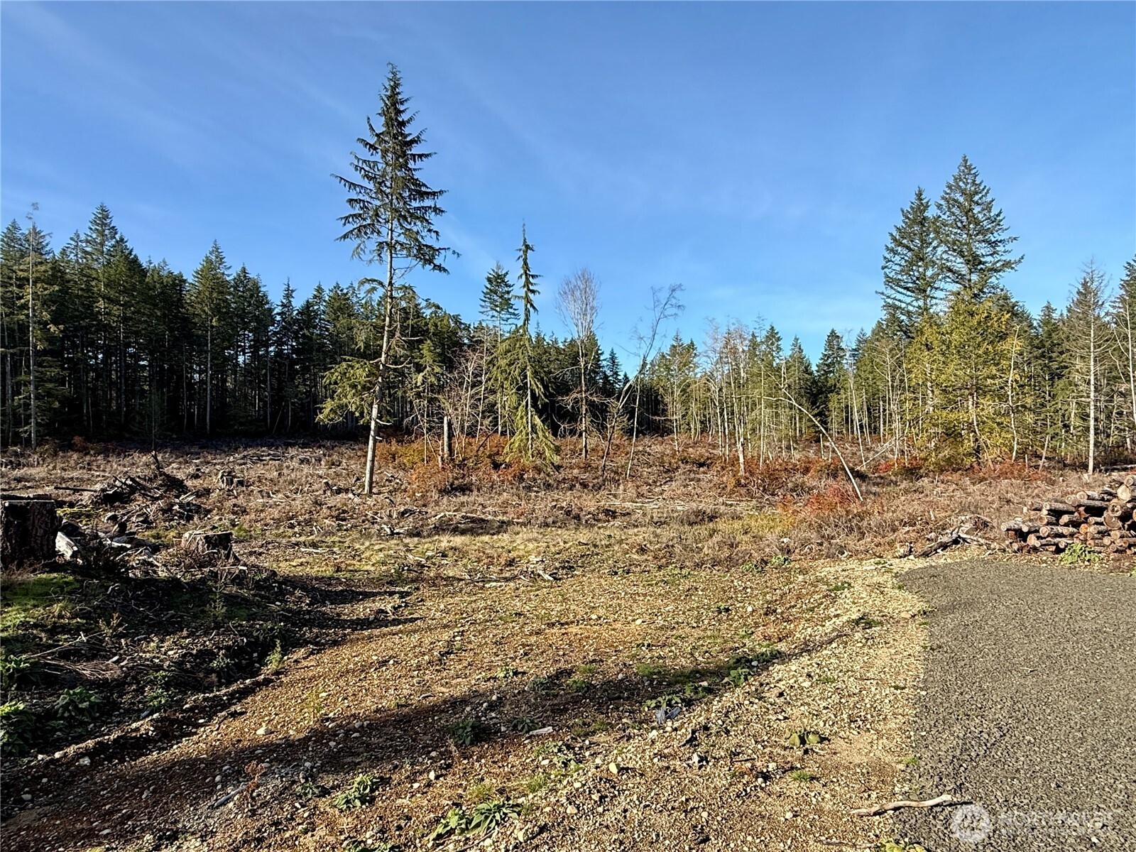 250 East Solbakk Veien Road Shelton, WA 98584 - Photo 18 of 39 a view of a yard with trees