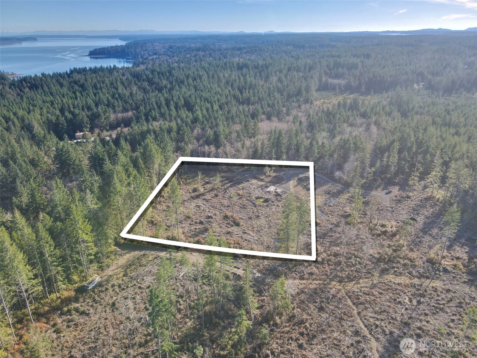 250 East Solbakk Veien Road Shelton, WA 98584 - Photo 21 of 39 a view of a yard