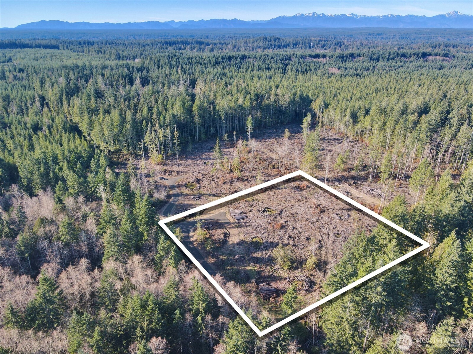 250 East Solbakk Veien Road Shelton, WA 98584 - Photo 22 of 39 a view of a backyard with a lake view