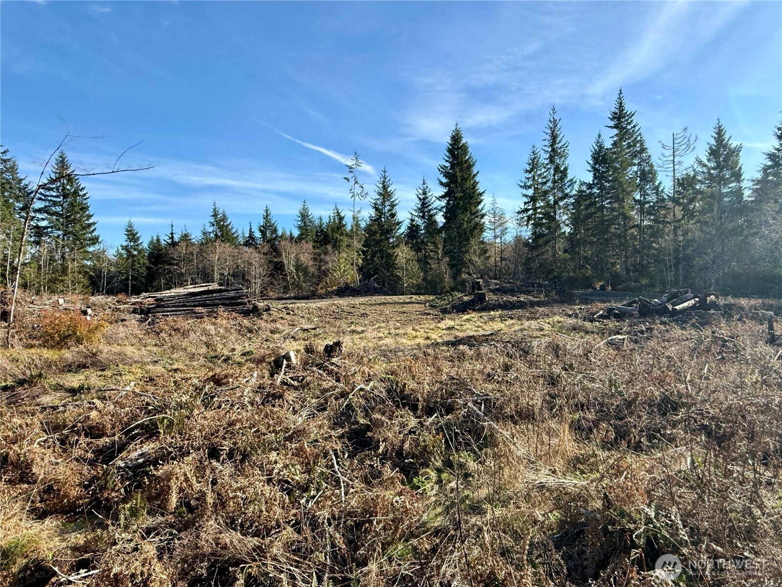 250 East Solbakk Veien Road Shelton, WA 98584 - Photo 27 of 39 a view of a field with trees in background