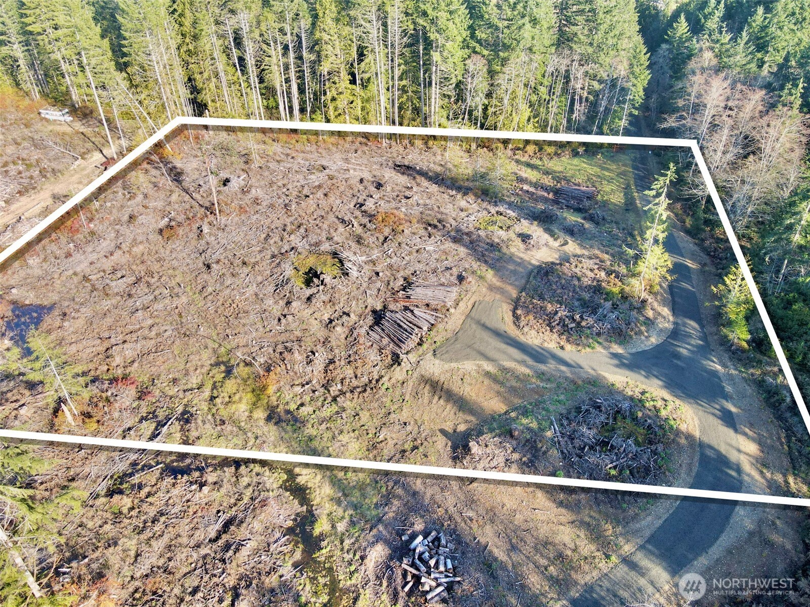250 East Solbakk Veien Road Shelton, WA 98584 - Photo 28 of 39 a view of a forest
