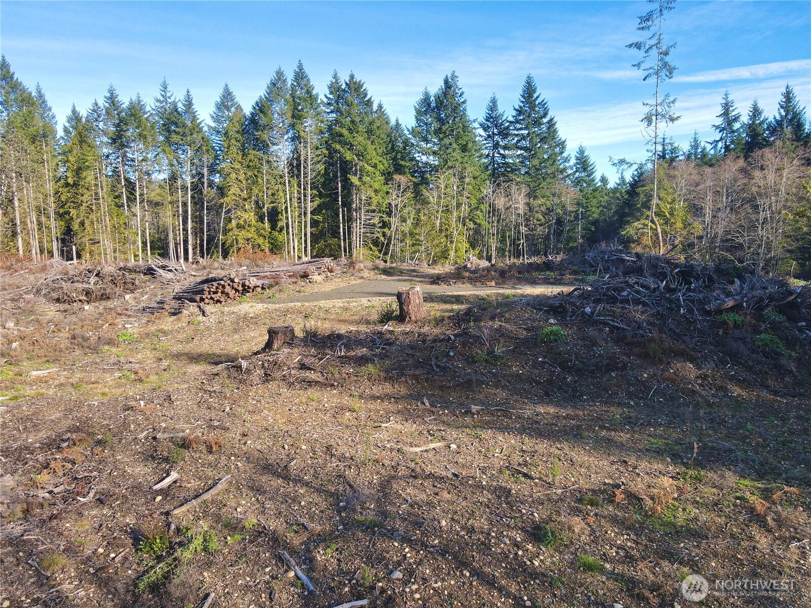 250 East Solbakk Veien Road Shelton, WA 98584 - Photo 29 of 39 a view of a yard with trees in the background