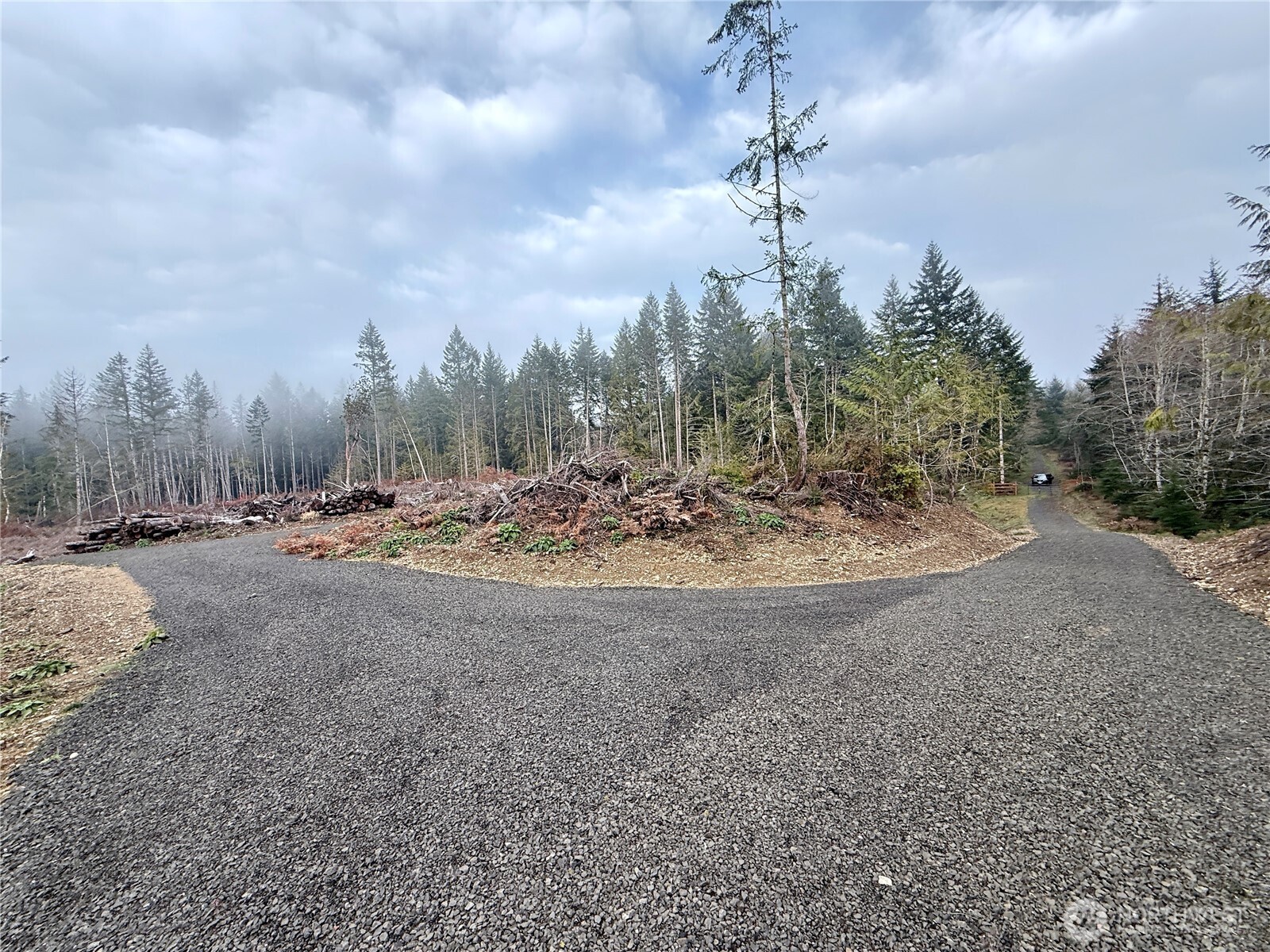 250 East Solbakk Veien Road Shelton, WA 98584 - Photo 30 of 39 a view of a dry yard with trees