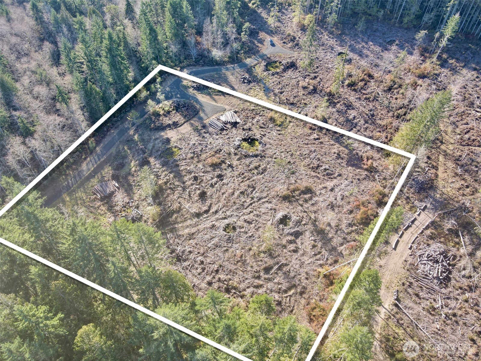 250 East Solbakk Veien Road Shelton, WA 98584 - Photo 36 of 39 a wooden view of a forest