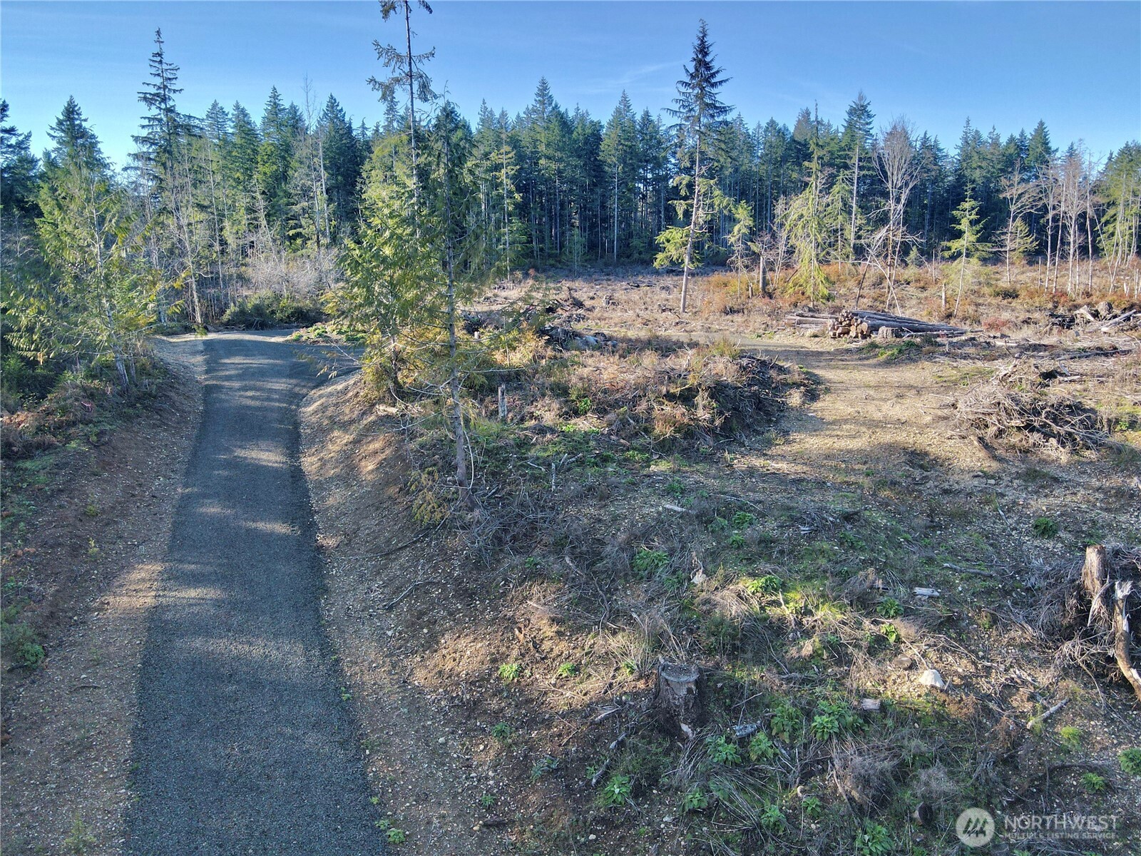 250 East Solbakk Veien Road Shelton, WA 98584 - Photo 9 of 39 a big yard with lots of green space