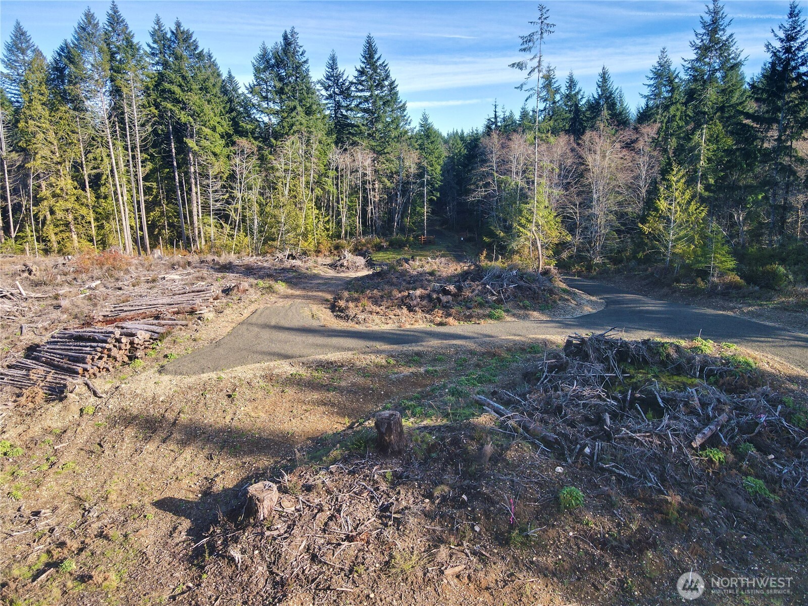250 East Solbakk Veien Road Shelton, WA 98584 - Photo 10 of 39 a view of a yard with plants and trees