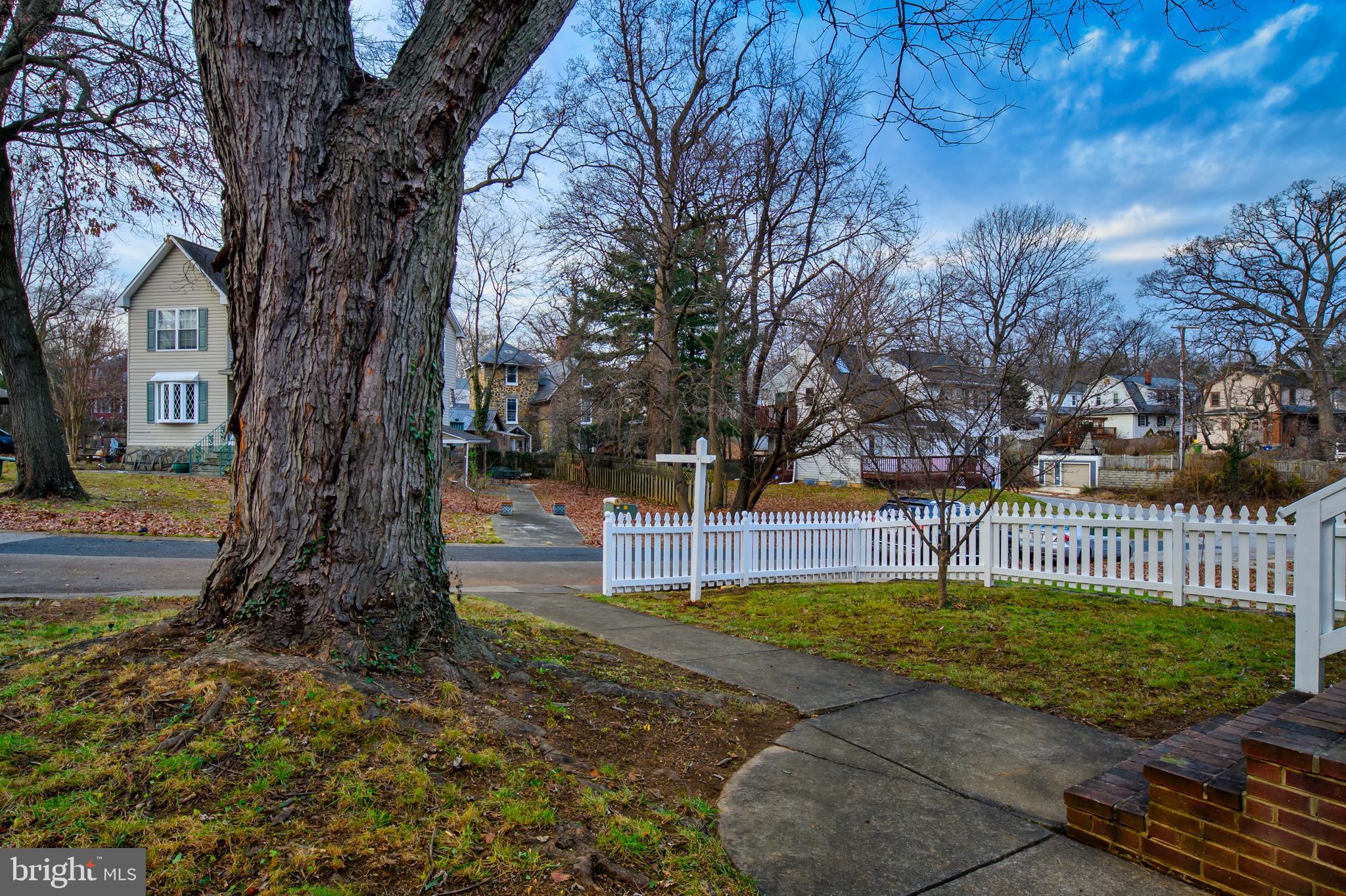 304 Kingston Road Baltimore, MD 21229 - Photo 4 of 38 Front Yard