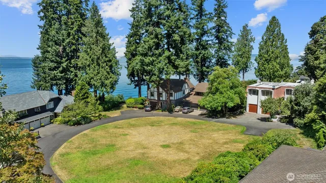a view of a swimming pool with some plants and large trees