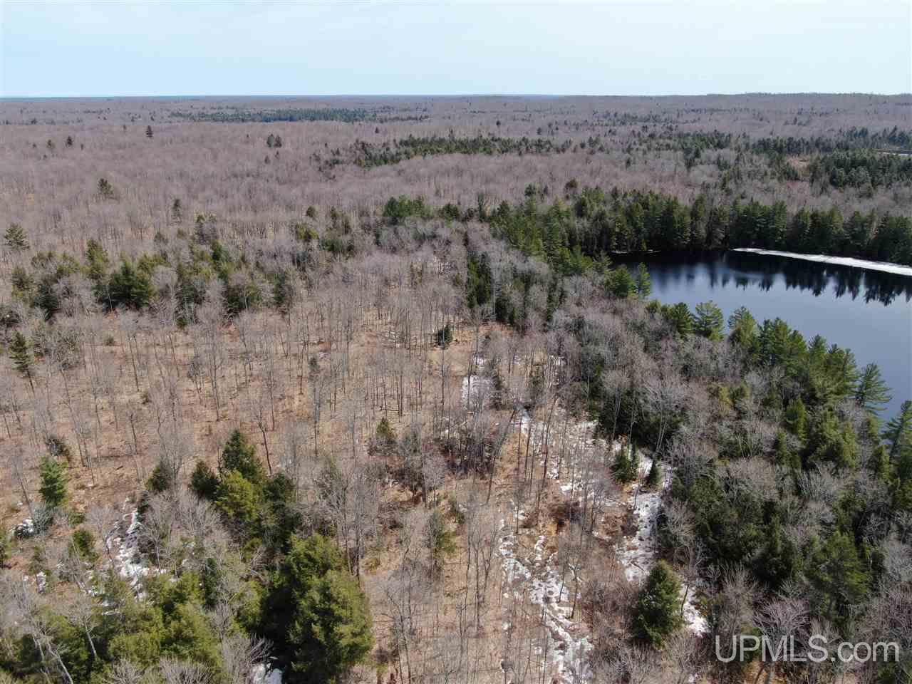 0 Old Seney Road Seney, MI 49883 - Photo 13 of 31