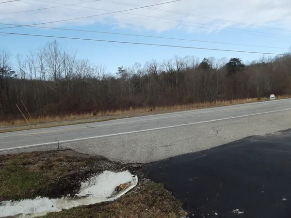 a view of a dry yard