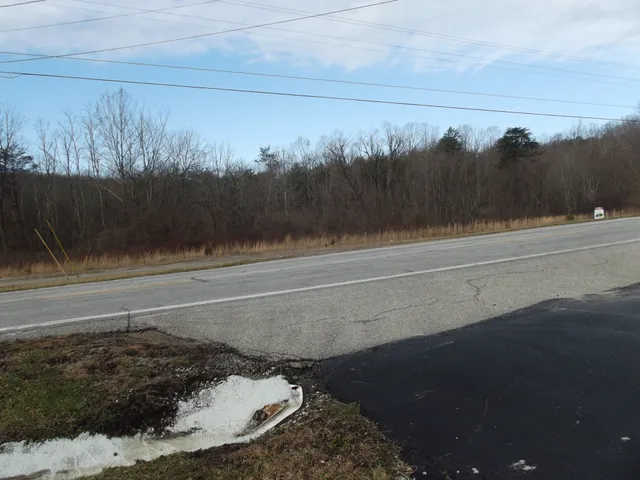 a view of a dry yard