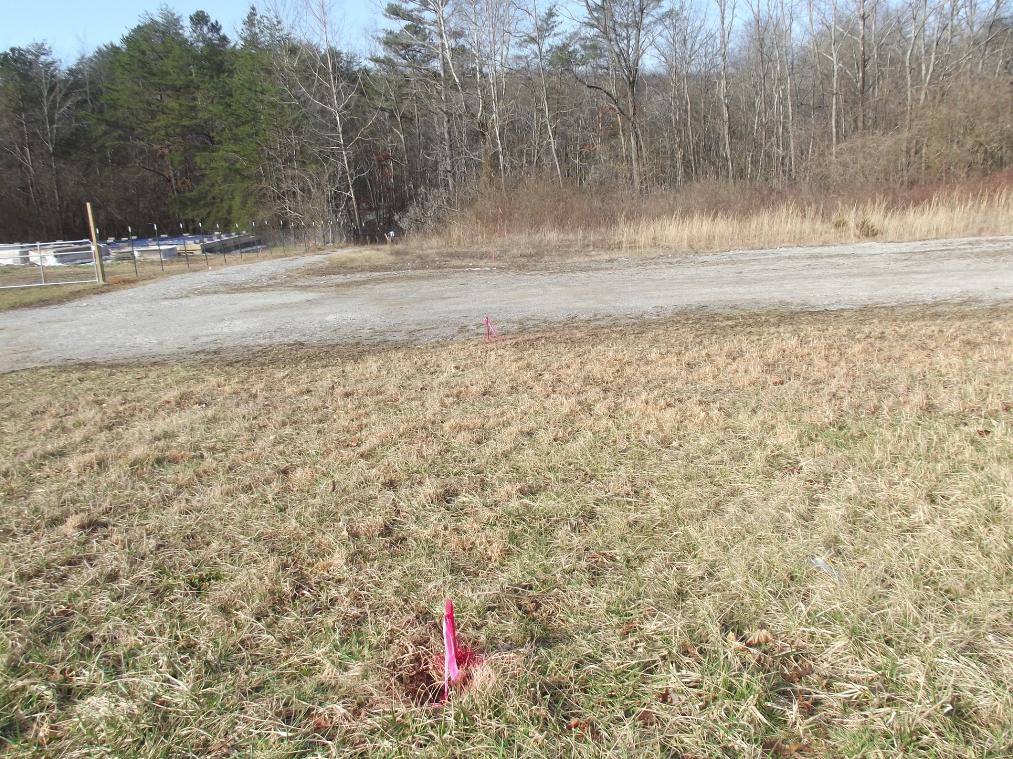 0 Main Street Palmer, TN 37365 - Photo 11 of 35 a view of a yard with a tree