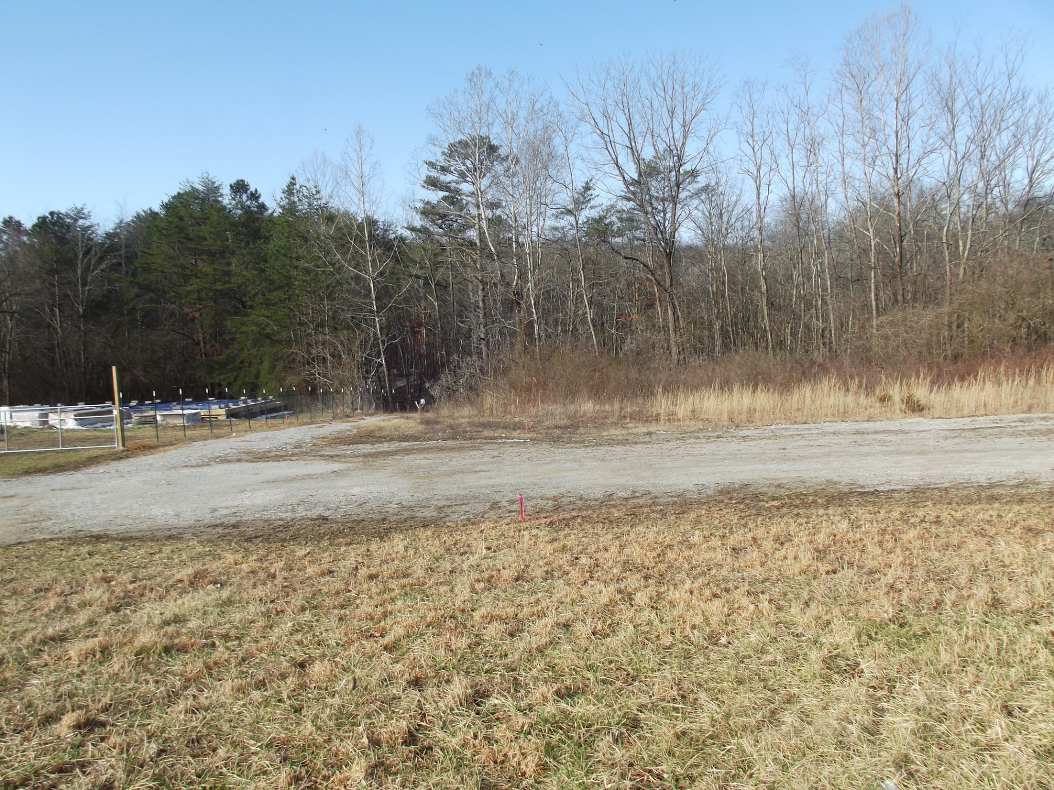 0 Main Street Palmer, TN 37365 - Photo 12 of 35 a view of road with large trees