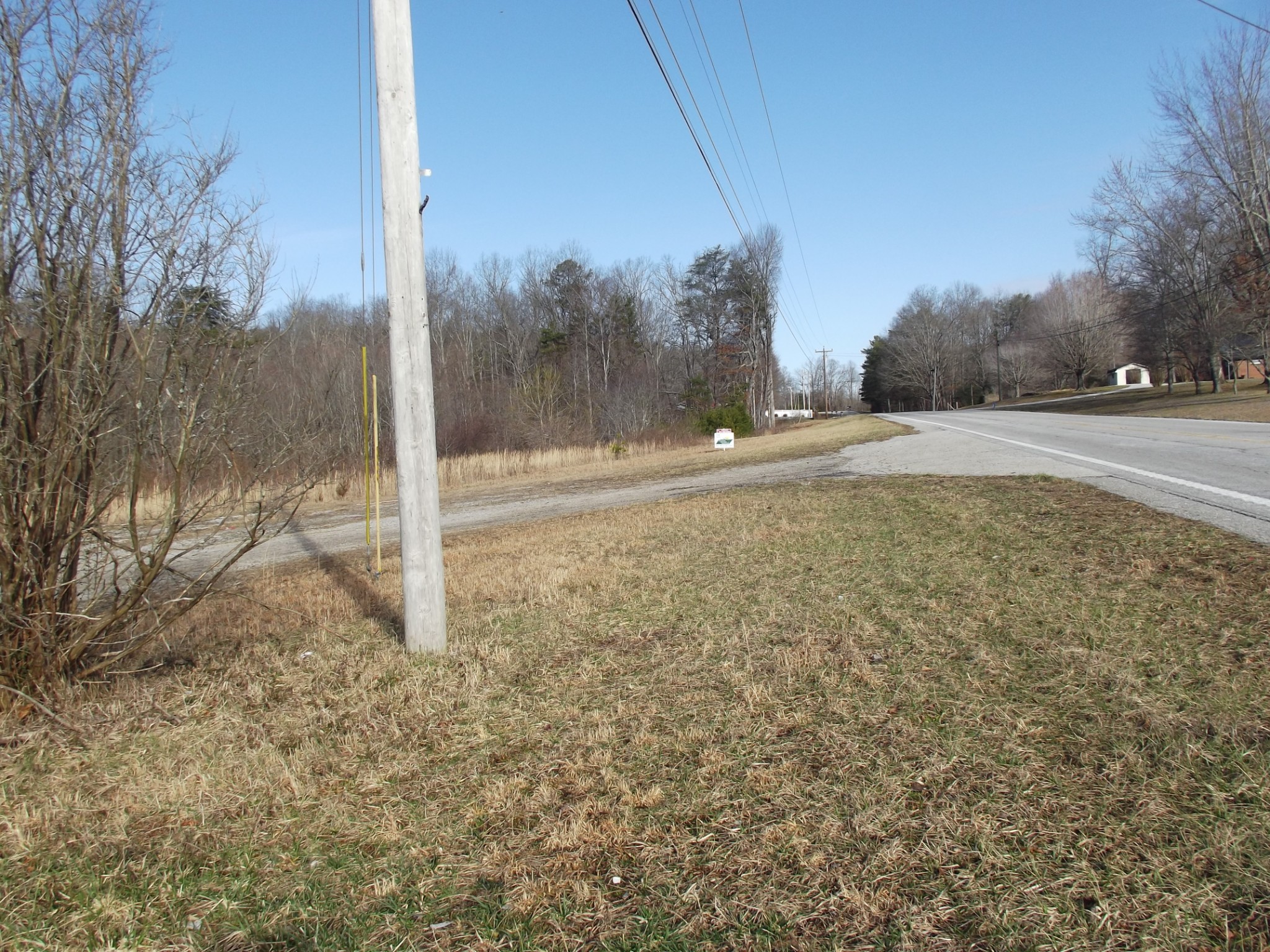0 Main Street Palmer, TN 37365 - Photo 13 of 35 a view of a yard