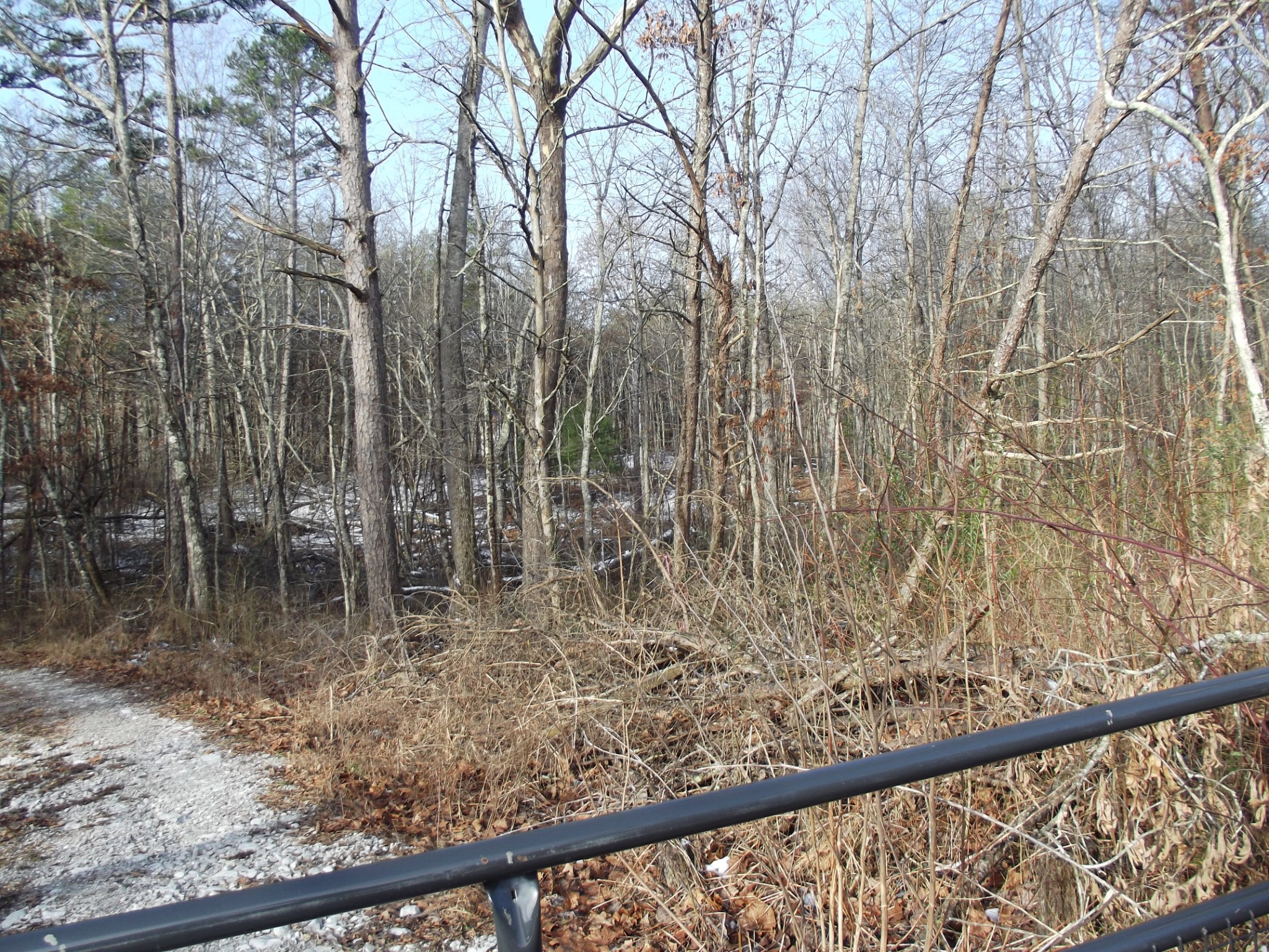 0 Main Street Palmer, TN 37365 - Photo 16 of 35 a view of a lake from a balcony