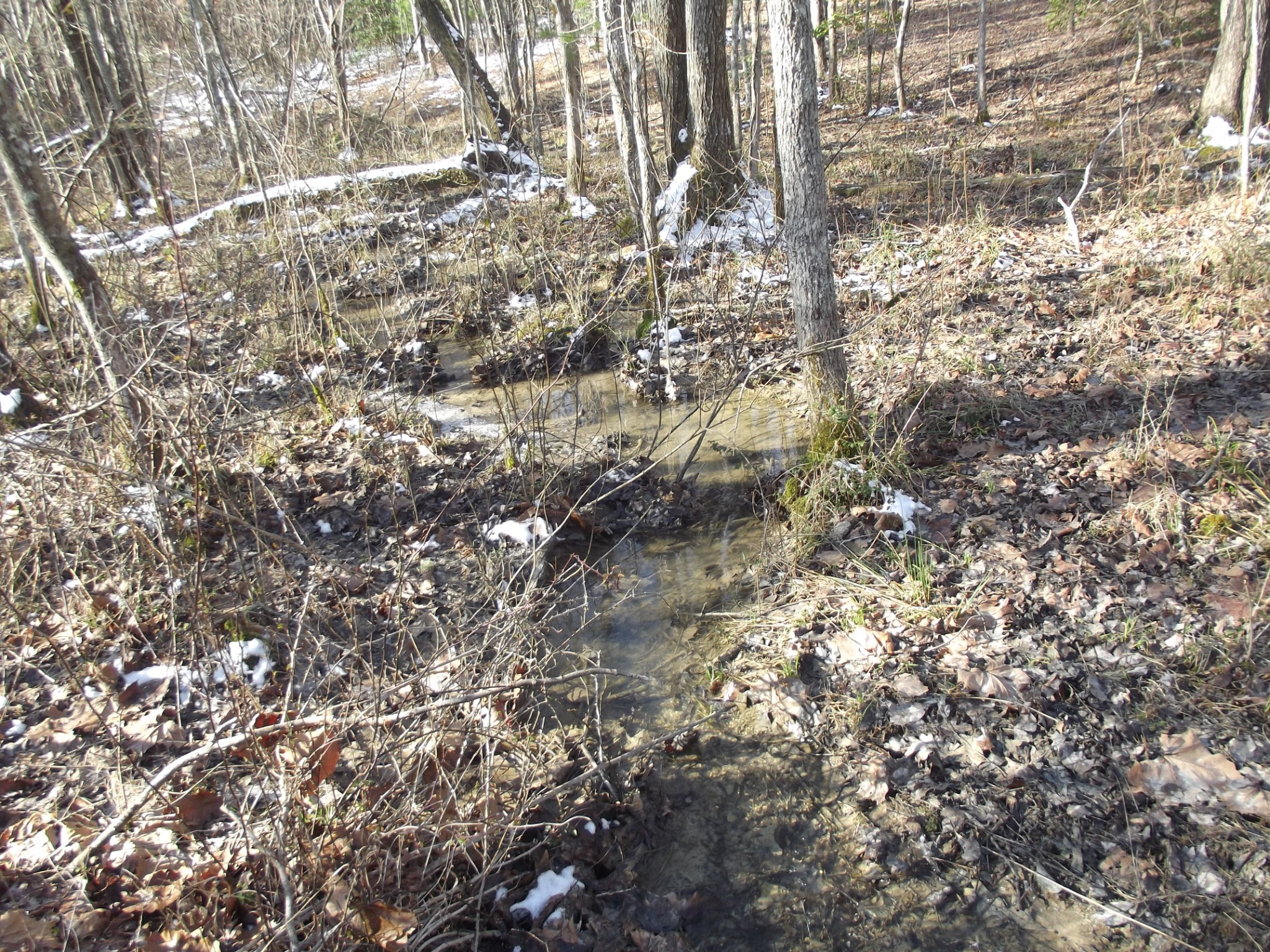 0 Main Street Palmer, TN 37365 - Photo 21 of 35