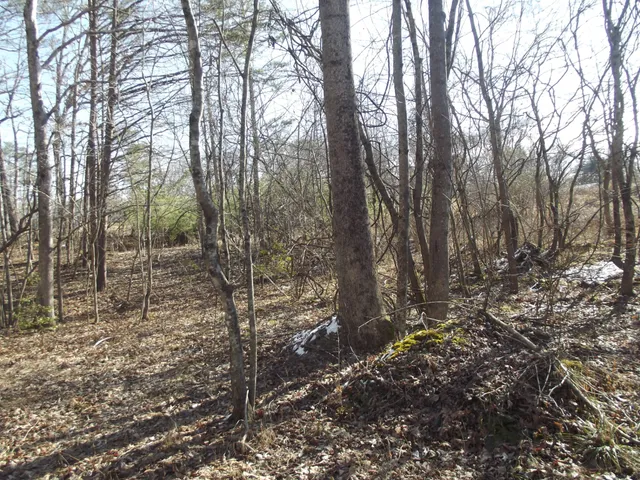a view of outdoor space and covered with trees