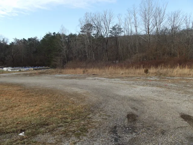 a view of dirt field with trees