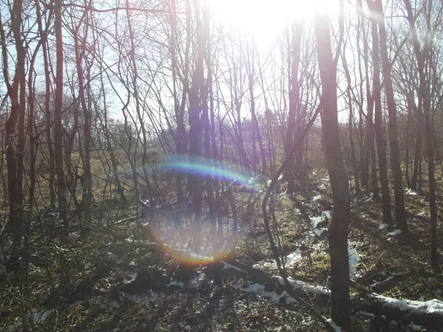 a view of outdoor space