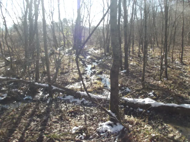 $60,000 | 0 Main Street, Palmer, TN 37365