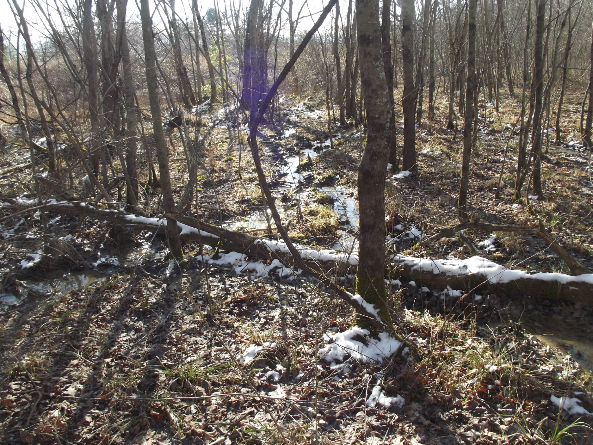 0 Main Street Palmer, TN 37365 - Photo 35 of 35 a view of outdoor space