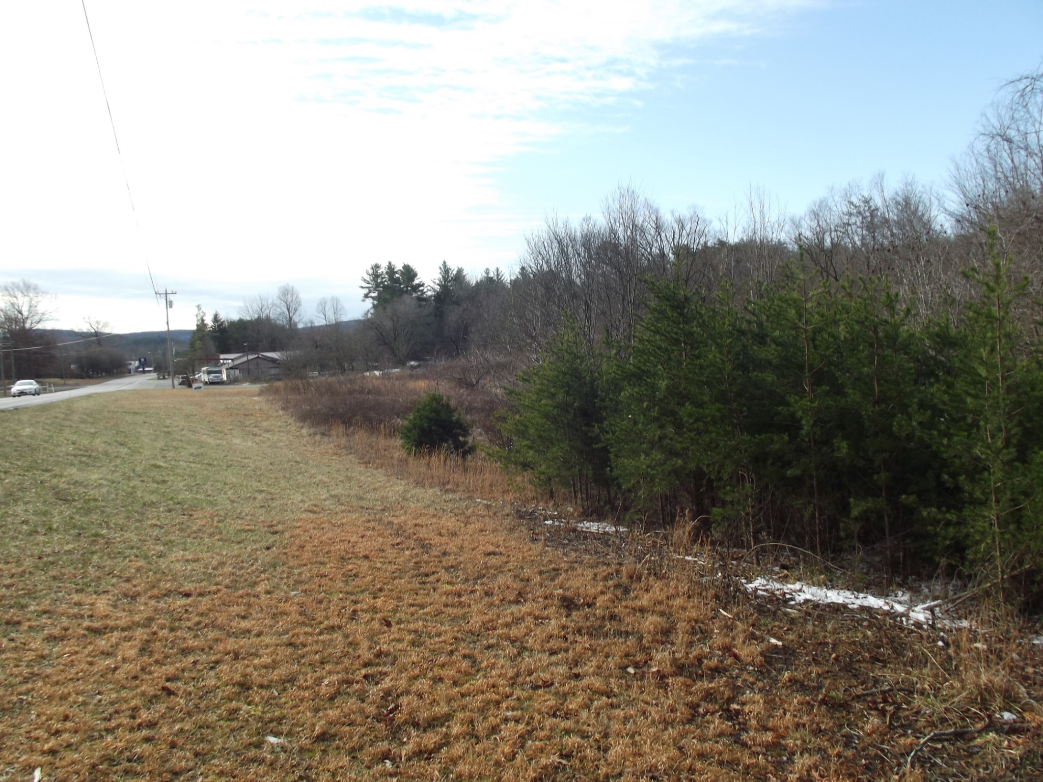0 Main Street Palmer, TN 37365 - Photo 4 of 35 a view of a field with trees in the background