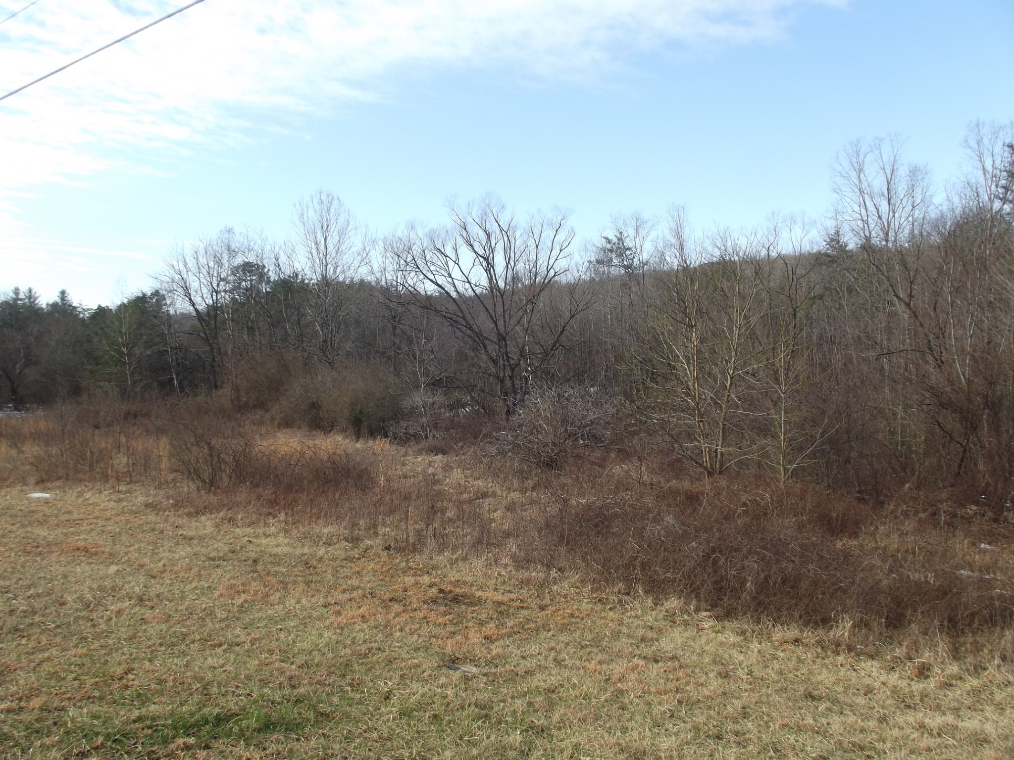 0 Main Street Palmer, TN 37365 - Photo 6 of 35 a view of a dry yard with trees