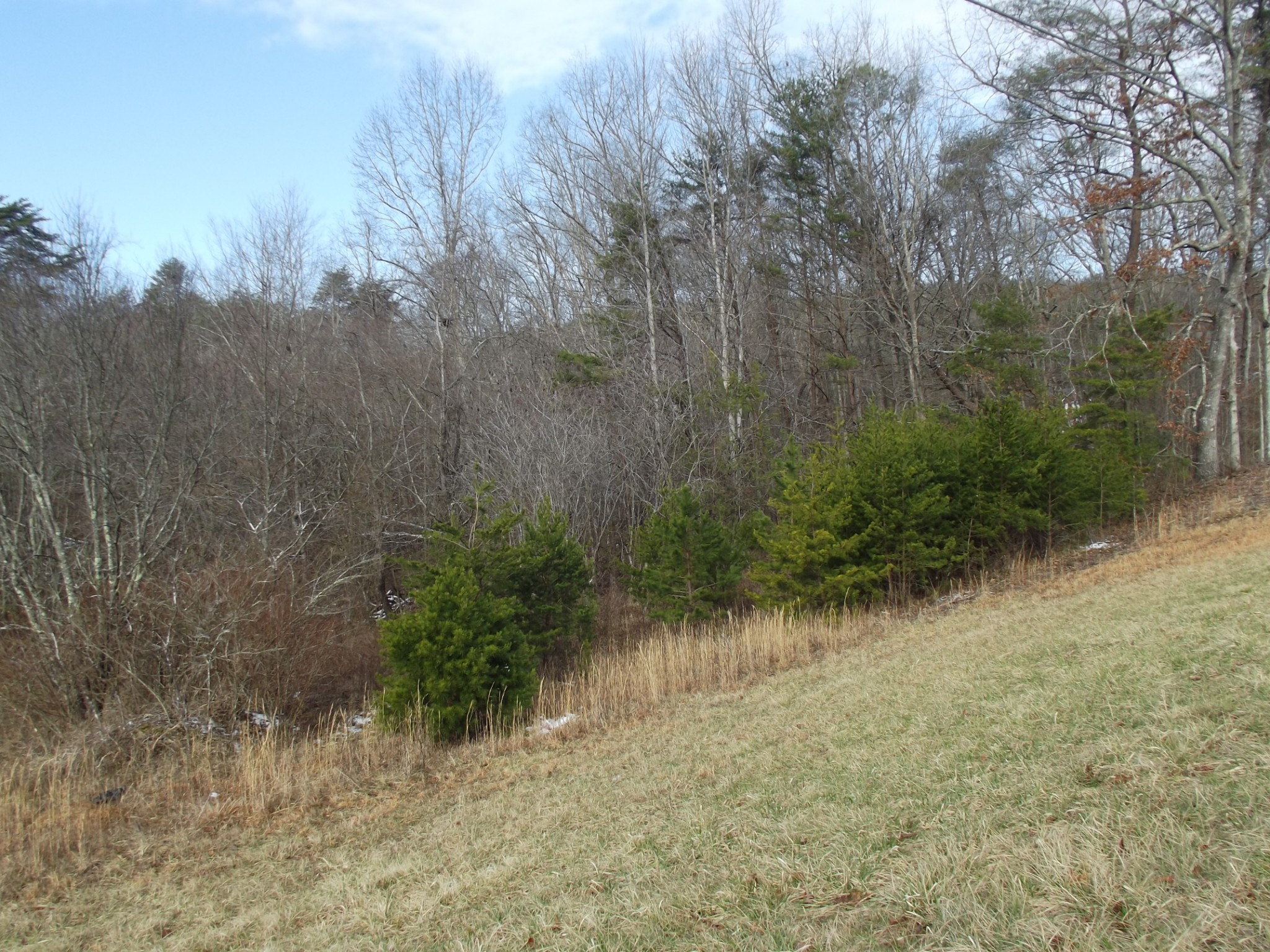 0 Main Street Palmer, TN 37365 - Photo 7 of 35 a view of a lake view