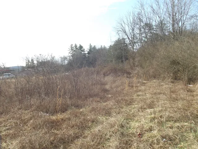 a view of a dry yard with trees