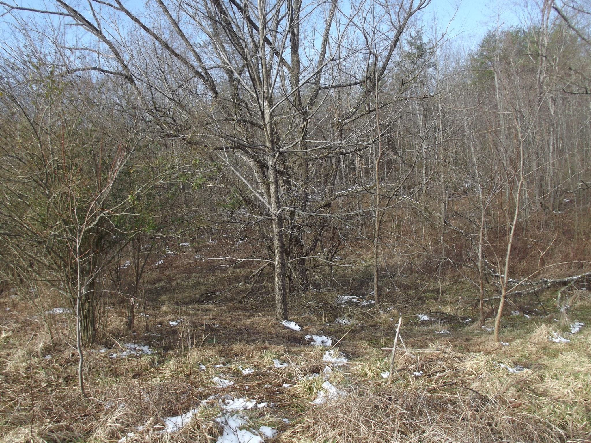 0 Main Street Palmer, TN 37365 - Photo 9 of 35 a backyard of a house