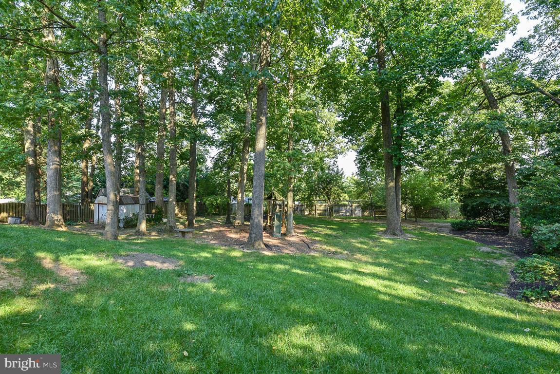 6917 Redmiles Road Laurel, MD 20707 - Photo 3 of 24 Large beautifully tree-filled back yard w/a shed