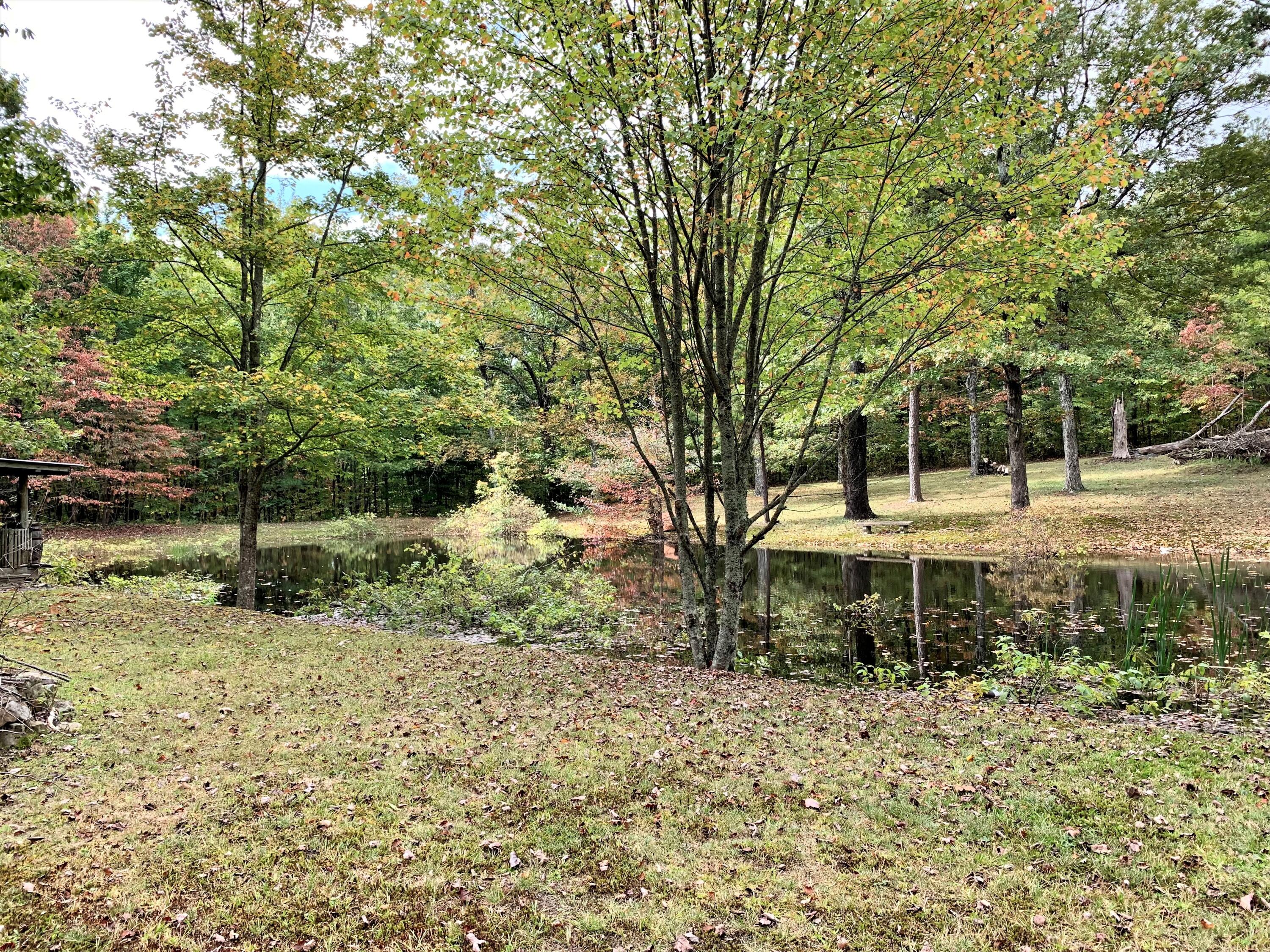 783 Leather Gap Road Dunlap, TN 37327 - Photo 12 of 16 IMG-3278